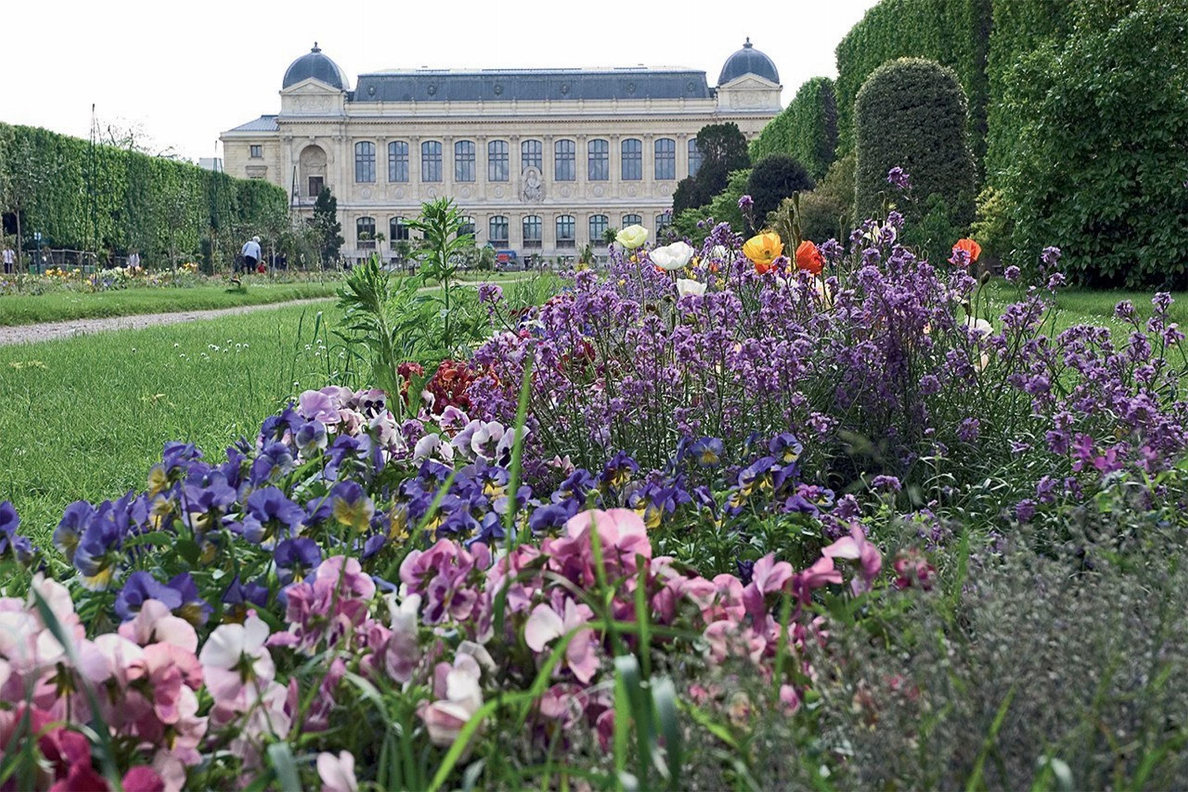 Libertel Austerlitz Jardin Des Plantes Hotel Paris Exterior photo